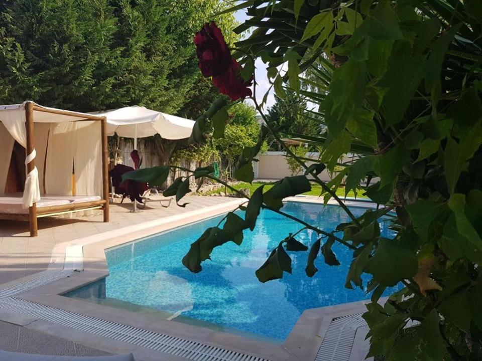 Villa Adonis With Private Pool By Lefkadastay Exterior photo