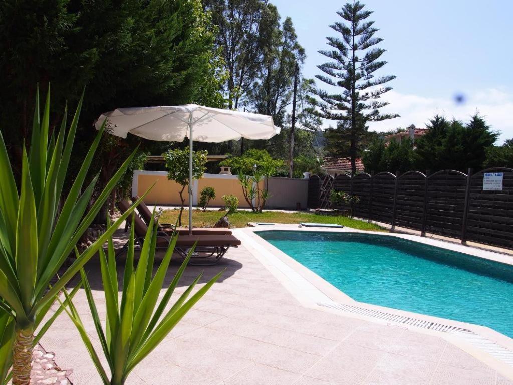 Villa Adonis With Private Pool By Lefkadastay Exterior photo